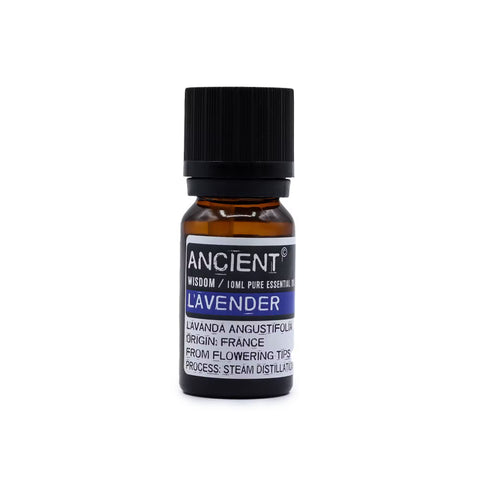 lavender essential oil 