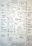 garden designer